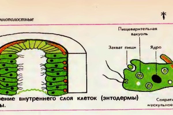 Kraken ссылка зеркало рабочее