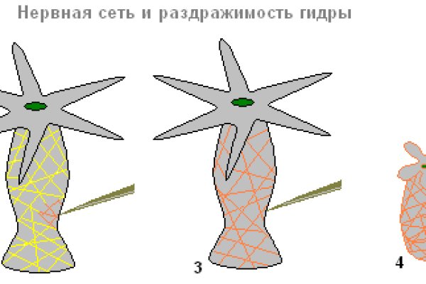 Сайт кракен что это такое