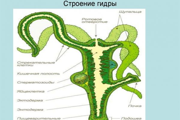 Kraken 9 at клиар ссылка