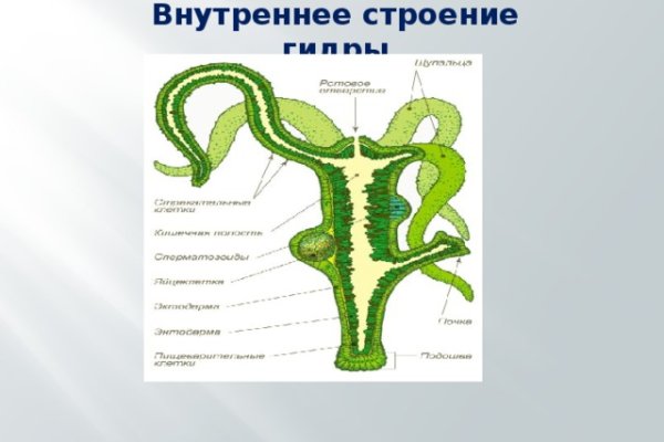 Kraken 8 at сайт