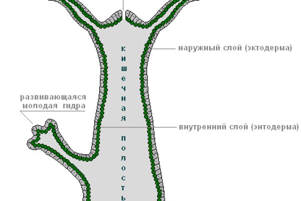 Кракен что продают