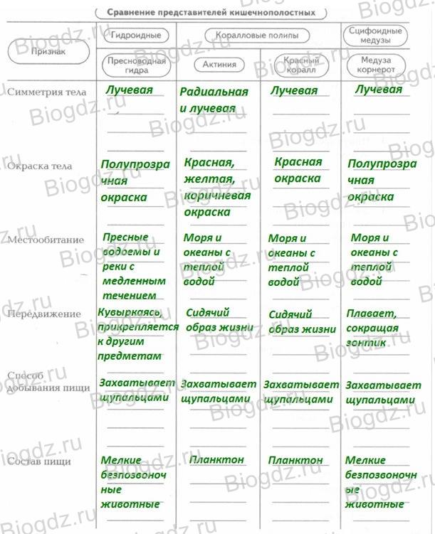 Кракен ссылка vtor